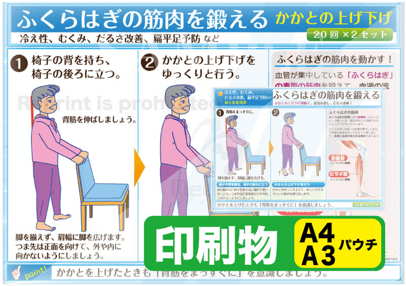 ふくらはぎの筋肉を鍛える（立つ：かかとの上げ下げ）　印刷物　専門家向け（A4）＋簡易版（A3）パウチ［送料込み］