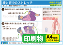 背中と腰のストレッチ（寝そべる：両膝抱え込み）印刷物　専門家向け（A4）［送料込み］