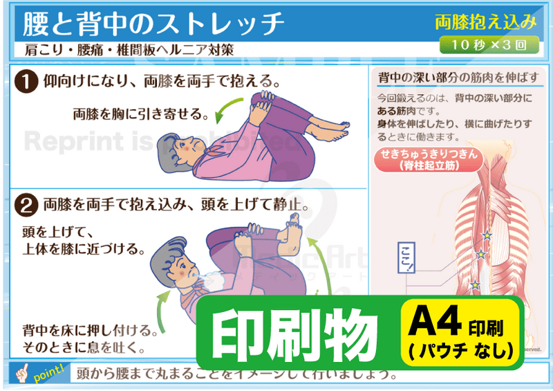 背中と腰のストレッチ（寝そべる：両膝抱え込み）印刷物　専門家向け（A4）［送料込み］