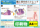 背中と腰のストレッチ（寝そべる：両膝抱え込み）印刷物　専門家向け（A4）パウチ［送料込み］