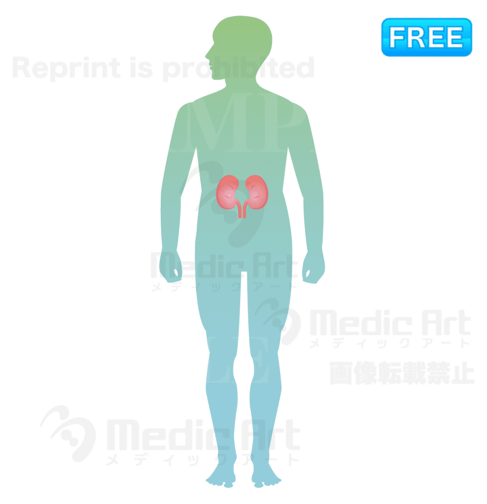 The Kidney is located around here