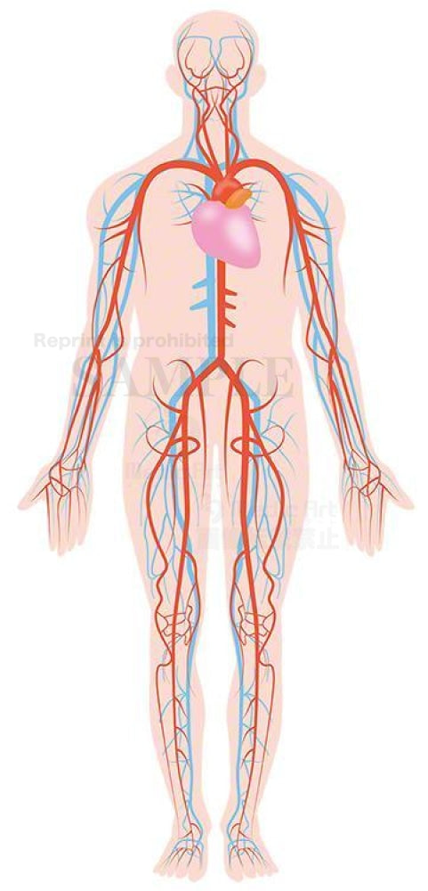 ( Capillary10
