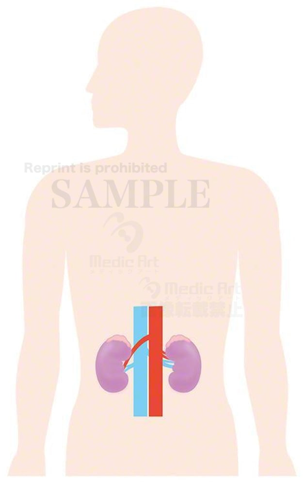 The Kidney is located around here