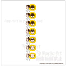 男性脱毛症の主なタイプ