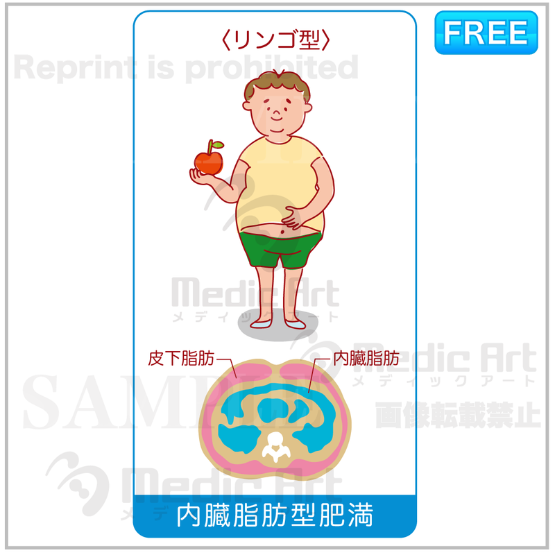 Visceral fat obesity is an apple type ［with Japanese letters］