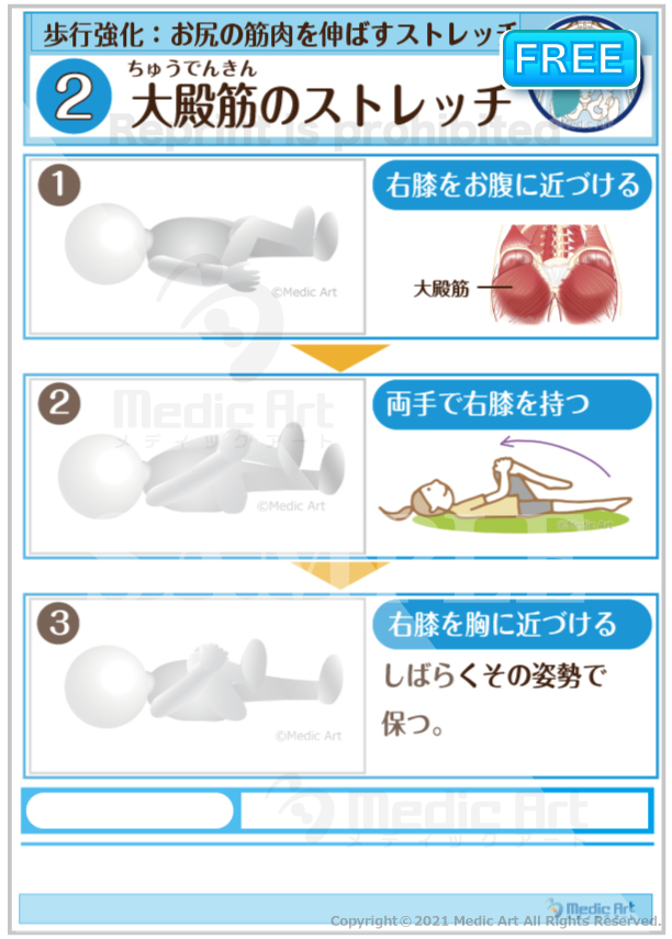 【歩行強化】大殿筋（だいでんきん）のストレッチ ［シート］