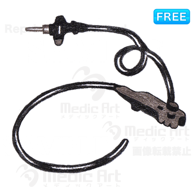 Endoscope /F1 