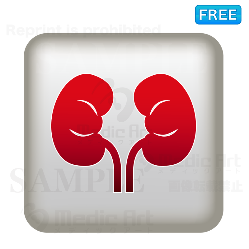 Simple button icon of kidney/F3