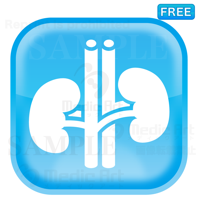 Lovely button icon of kidney/F2