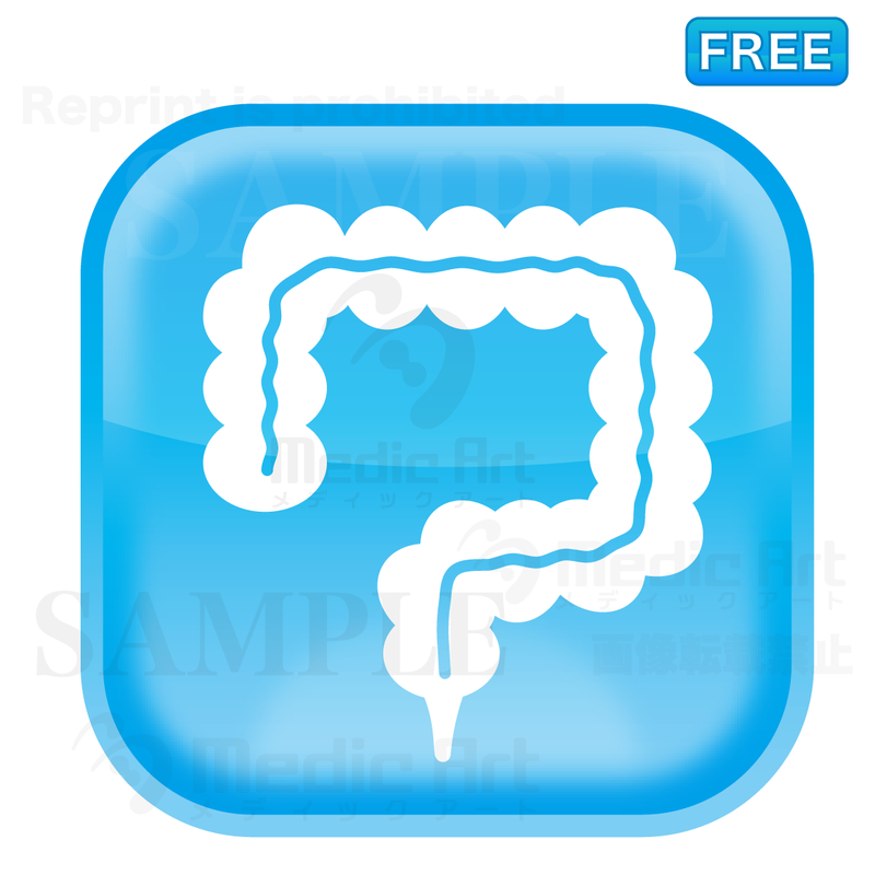 Lovely button icon of large intestine/F2