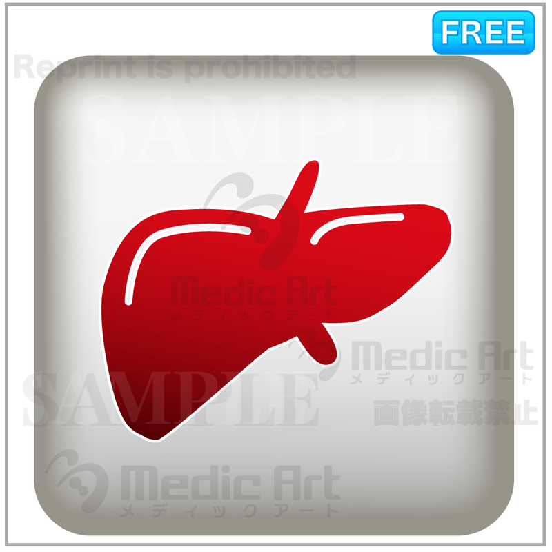Simple button icon of liver/F3