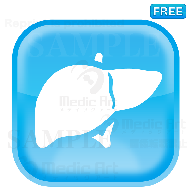 Lovely button icon of liver/F2