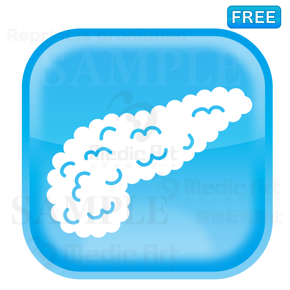 Lovely button icon of pancreas/F2which there is behind stomach