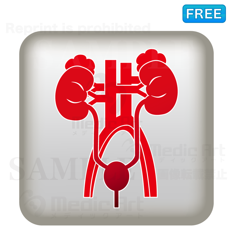 Simple button icon of urinary organs/ F３