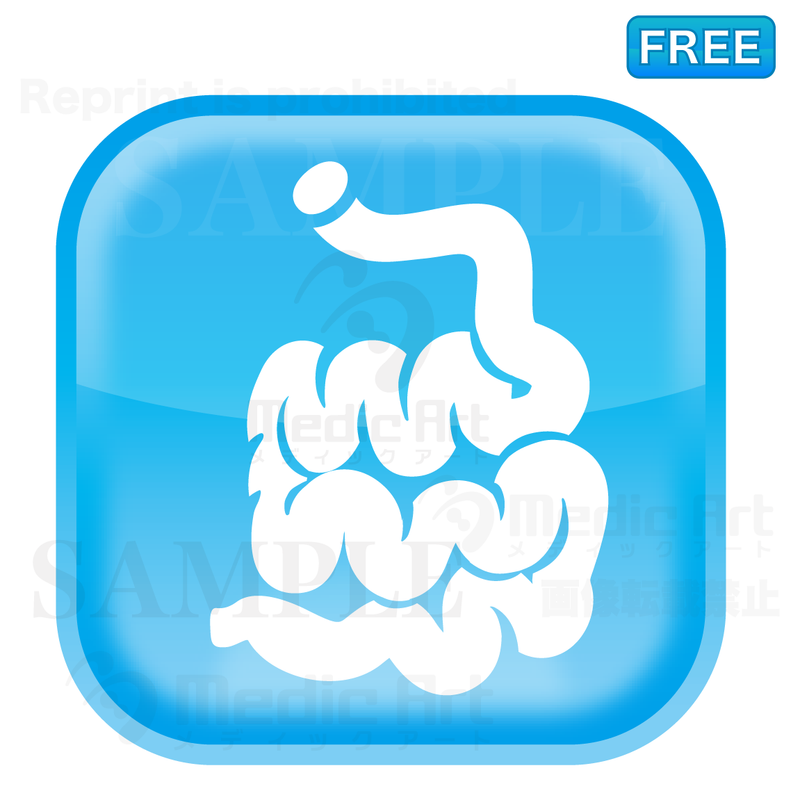Lovely button icon of small intestine/F2