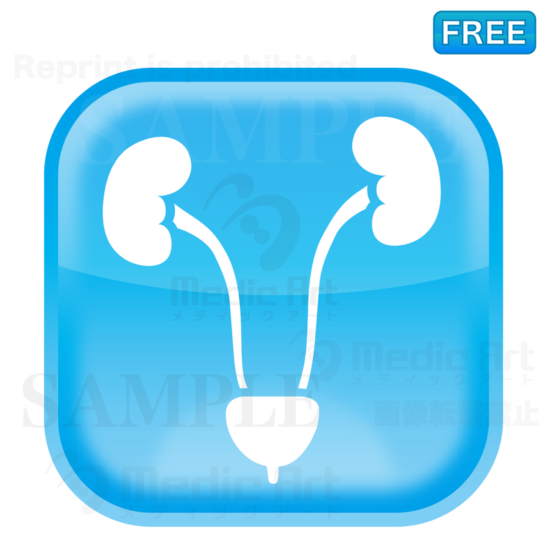 Lovely button icon of urinary organs/ F２
