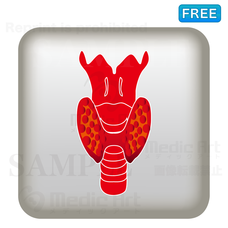 Simple button icon of thyroid gland/F３