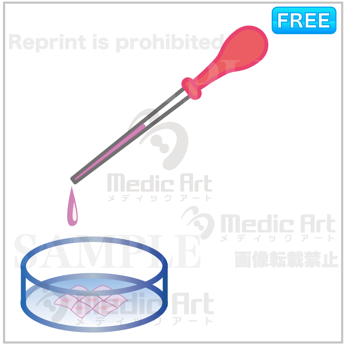 Experimenting on the cell culture with a laboratory dish in a laboratory.