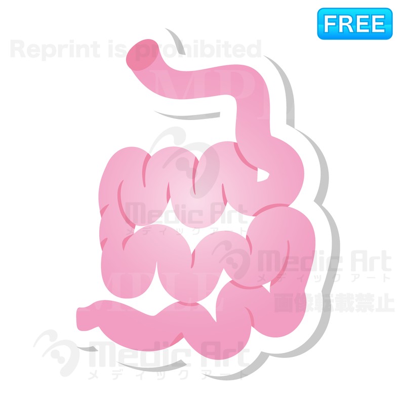 Lovely button icon of small intestine /F2