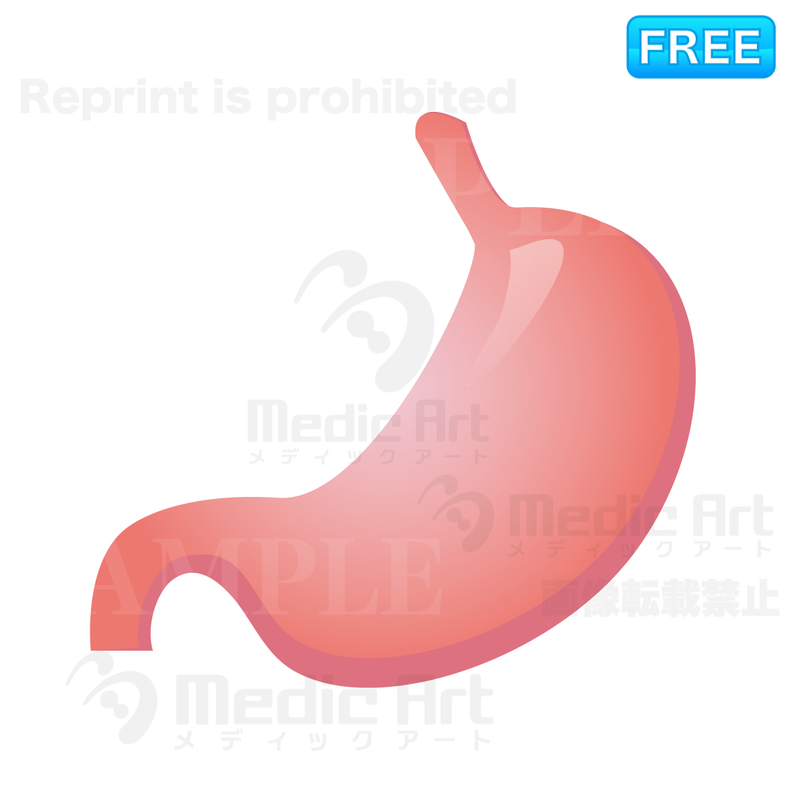 Icon of small intestine /F1